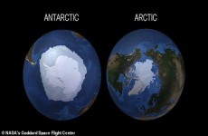 تغير جذري مفاجئ في القطب الجنوبي يحير العلماء