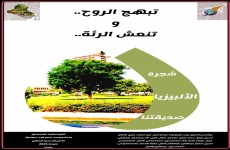 حملة لحث الجمهور العراقي على زراعة شجرة ألبيزيا (صور)