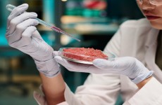 ما الذي يجعل نكهة اللحوم المصنعة في المختبر أقرب إلى الحقيقية؟
